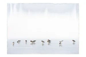 Axel Thorenfeldt, Stilla morgon