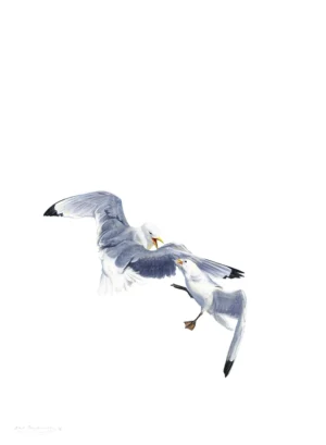 Axel Thorenfeldt, Diskussion (Tretåig mås) III