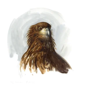 Axel Thorenfeldt, Havsörn II