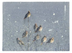 Axel Thorenfeldt, Sidensvansar i snö