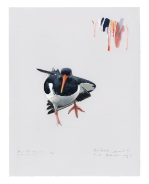 Axel Thorenfeldt, Strandskata